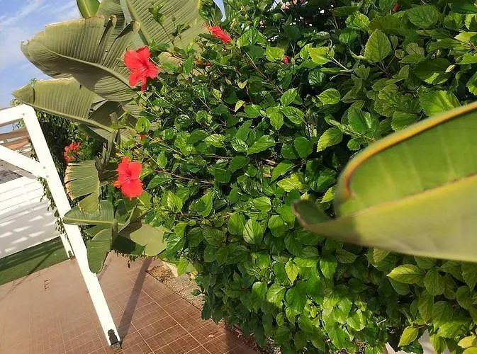 Amigos Mythical Διαμέρισμα *