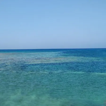 Amigos Mythical Protaras