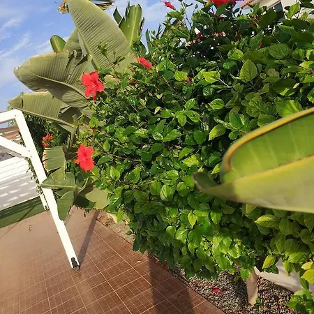 Amigos Mythical Apartment *