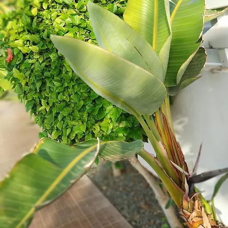 Amigos Mythical Appartamento