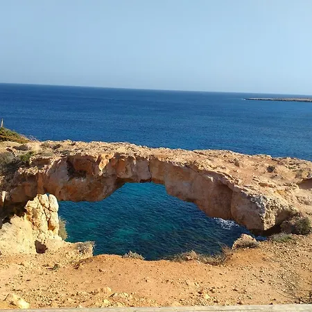 Amigos Mythical Protaras