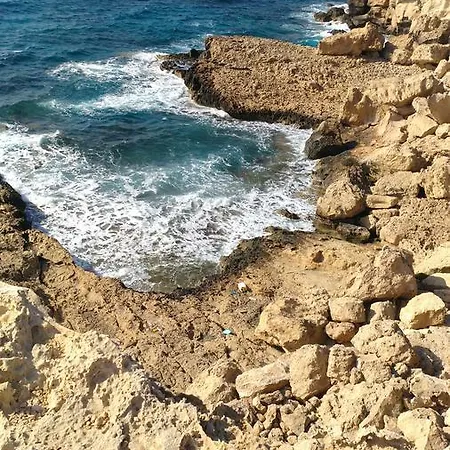 Apartment Amigos Mythical