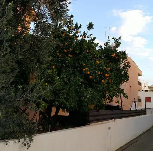 Amigos Mythical Apartmán Protaras